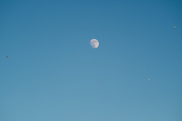 White moon against the blue sky. Full moon in the afternoon. Satellite of the planet earth. Blue skies on a frosty winter day.