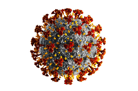 Detaillierter Corona Virus auf weißem Untergrund - Wuhan Virus	