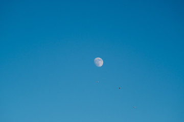 White moon against the blue sky. Full moon in the afternoon. Satellite of the planet earth. Blue skies on a frosty winter day.