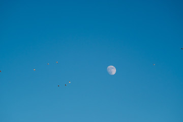 White moon against the blue sky. Full moon in the afternoon. Satellite of the planet earth. Blue skies on a frosty winter day.