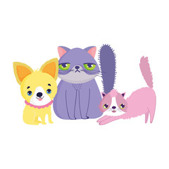 little puppy and cats feline canine cartoon pets