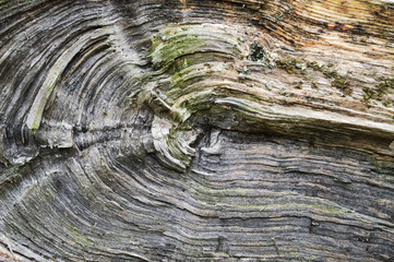 textura 2