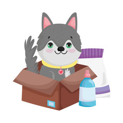 dog in box with food package cartoon pets