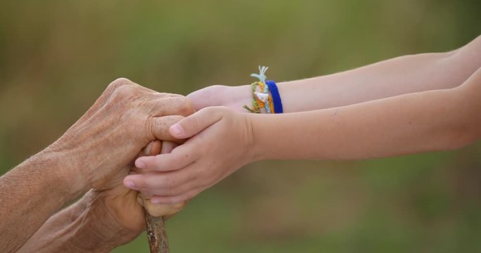 HELPING HAND. Detail of a Child's Hands Holding the Senior Woman Hands