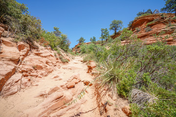 hiking west rim trail in zion national park, usa