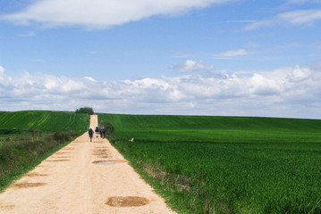 Camino de Santiago 2