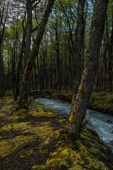 Obraz premium Río Huemul