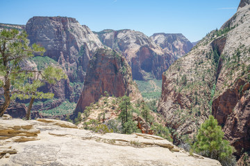 Obraz premium hiking west rim trail in zion national park, usa