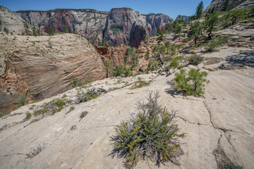 hiking west rim trail in zion national park, usa