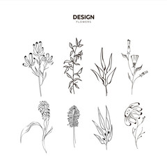 Set of wildflowers for design. Isolated on white background, camomile, hyacinth hand sketch, ink. Vector illustration EPS 10
