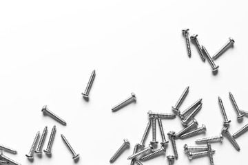 Stainless steel wood screws on a white background