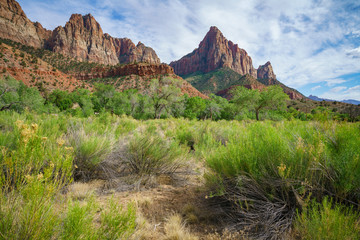 the watchman from parus trail in zion national park, usa