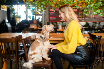 Caucasian young blonde girl siiting in caffe on chair face to face to her beloved cocker spaniel...