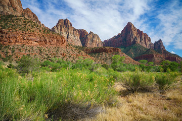 the watchman from parus trail in zion national park, usa