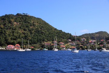 Fototapeta na wymiar Terre de Haut, Guadeloupe