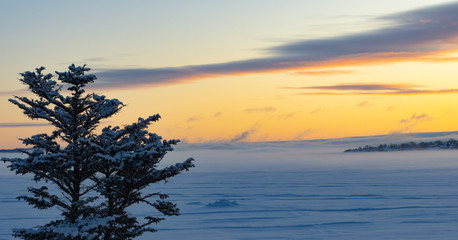 Beautiful Foggy Morning