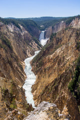 lower falls in summer in the yellowstone national park, wyoming, united states of america