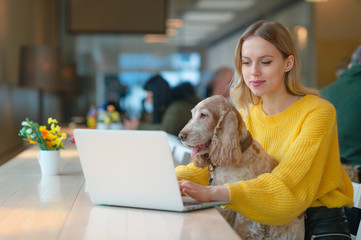 Young caucasian blonde freelancer girl holding her cocker spaniel dog on her knees in co working...