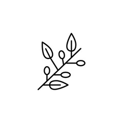 Hebrew, olives, Judaism icon. Simple line, outline vector religion icons for ui and ux, website or mobile application