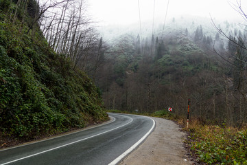Bending wet road among the hills.