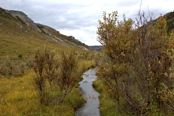 Landscape of Denali National Park