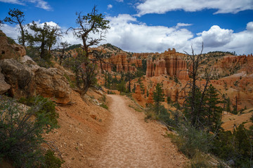 hiking the fairyland loop trail in bryce canyon national park, utah, usa