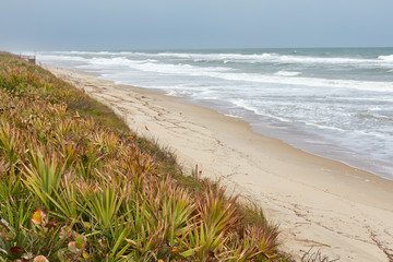 View of the beach at Cape Canaveral National Seashore, located in Brevard county, Florida