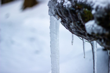 Naklejka na ściany i meble Beautifully shaped icicles on a mountain from a frozen waterfall
