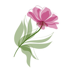 Beautiful  flower isolated on white background.  Vector illustration. EPS 10
