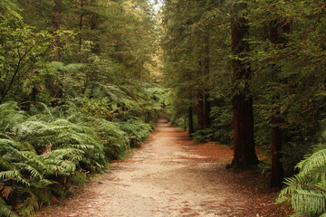 Amazing Sunset & Daytime Coastal Picture that`ll make your day!