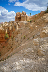 hiking the rim trail in bryce canyon national park, utah, usa