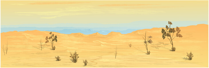 Fototapeta premium Texas Desert Background Image. Vector graphics.