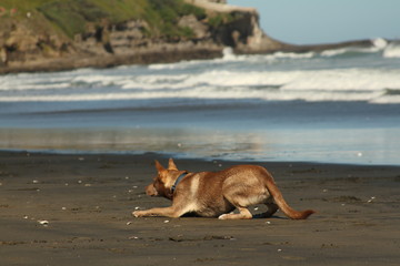 Amazing Sunset & Daytime Coastal Picture that`ll make your day!