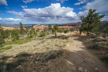 Fototapeta premium hiking the rim trail in bryce canyon national park, utah, usa