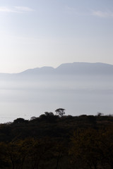 View Of Lake Chapala