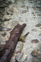 pozas y cascadas del jardín surrealista de Xilitla