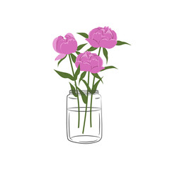Peonies in a glass jar. Pink flowers with leaves. Spring flowers. Floral composition. Vector illustration on a white background