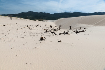 Dunas en Tarifa,cadiz
