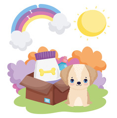 dog puppy with box food landscape pets