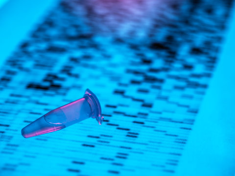 Close-up of DNA sample lying on DNA sequencing result chart