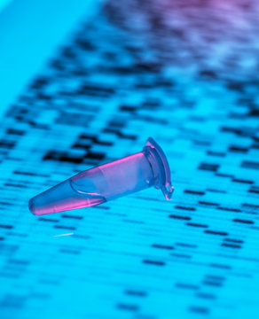 Close-up of DNA sample lying on DNA sequencing result chart