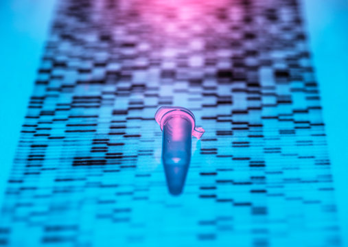 Close-up of DNA sample lying on DNA sequencing result chart
