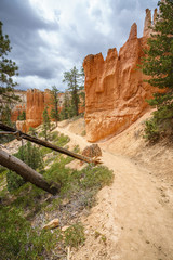 hiking the peek-a-boo loop in bryce canyon in utah in the usa