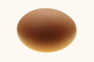 Brown chicken egg on a white background