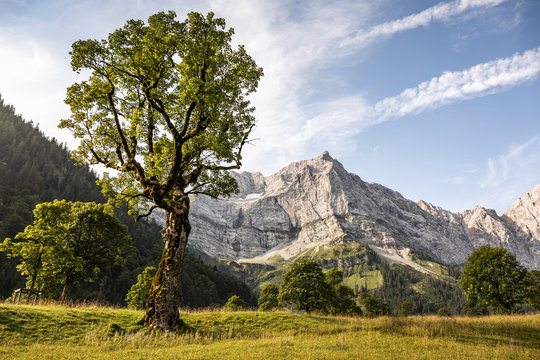 Grosser Ahornboden, Hinterriss, Karwendel, Tyrol, Austria
