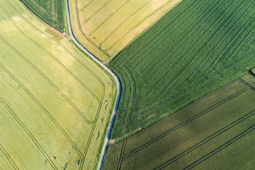 Germany, Bavaria, Franconia, Aerial view of green fields and dirt road