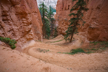 hiking the peek-a-boo loop in bryce canyon in utah in the usa