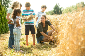 Children examining wheat field with their teacher
