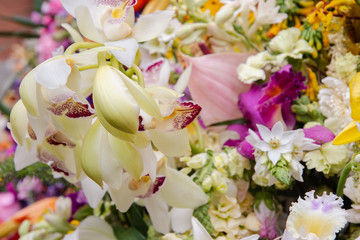 White orchids on a background of flowers