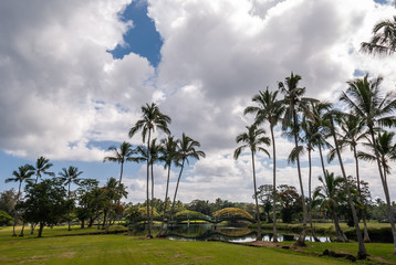 Fototapeta na wymiar Hilo, Hawaii, USA. - January 9, 2012: Wide view of green park with palm trees and bridge over Waiakea Pond under white cloudscape with blue patches. 